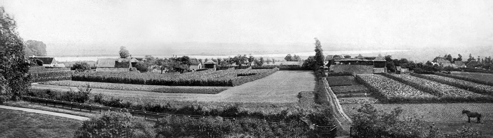 Akkervelden achter villa Hoogstede, nabij
