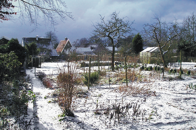 Winter in de moestuin