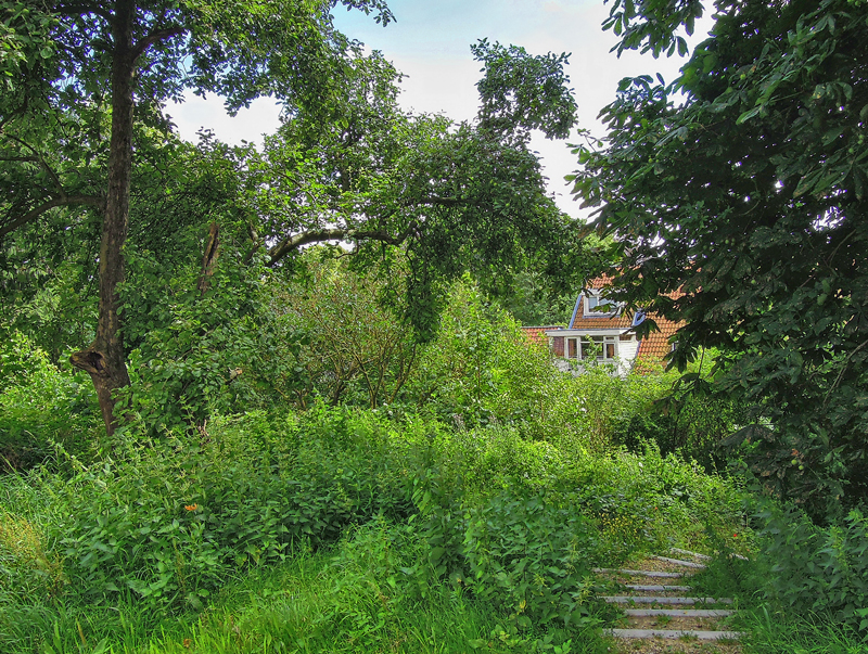 Groengebied